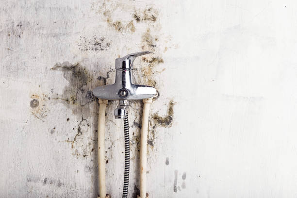 Best Water Damage Restoration  in Lincoln, IL