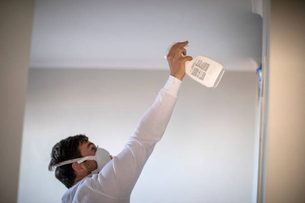 Best Mold Inspection  in Lincoln, IL