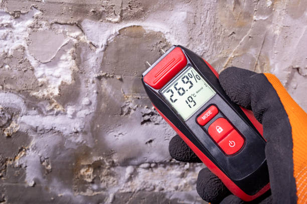 Mold Removal and Inspection in Lincoln, IL