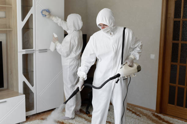 Best Certified Mold Removal  in Lincoln, IL