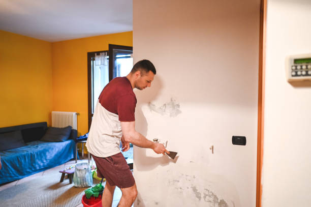 Best Residential Mold Removal  in Lincoln, IL